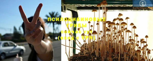 MESCALINE Михайловск