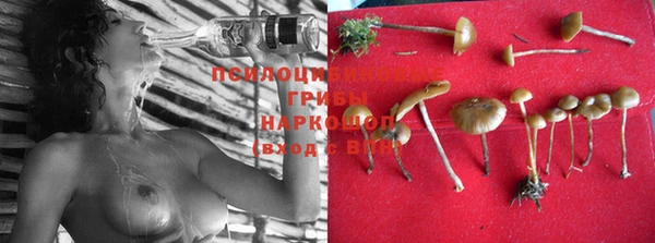 MESCALINE Михайловск